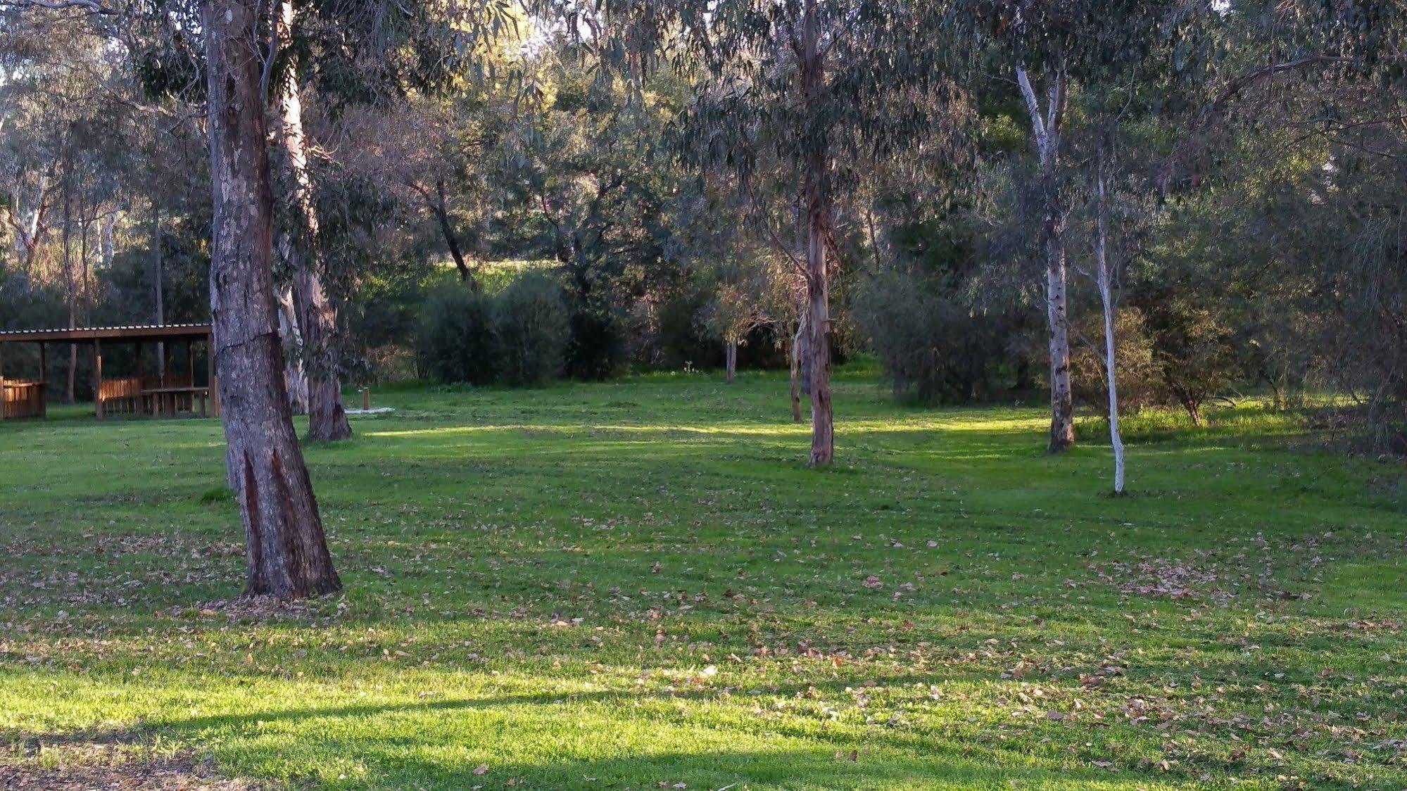 Yea Riverside Caravan Park Exterior foto